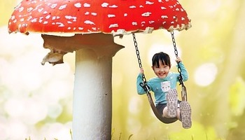 Blauwe Aap levenspad 28/29 februari - 12 maart 2024: Creëren vanuit de bron